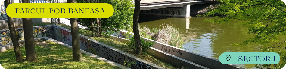 Locatie Pod Baneasa